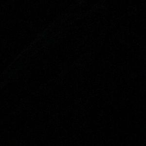 Meet your Posher, Ally